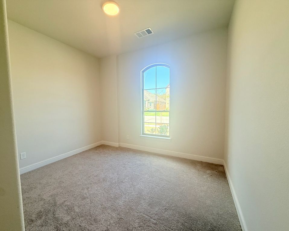 317 Aurora Hills Trail, Burleson, TX 76028 — photo 4