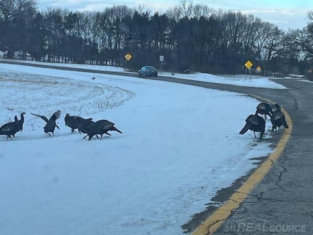 55302 Boardwalk Lane, Shelby Twp, MI 48316