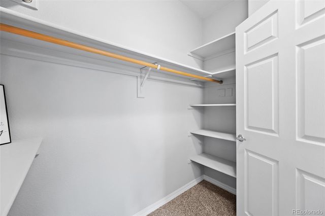 1530 Little Bear Creek Point 301, Colorado Springs, CO 80904