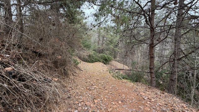 1090 West Adkins-Aurthor Rd, Somerset, KY 42501