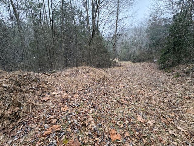 1090 West Adkins-Aurthor Rd, Somerset, KY 42501