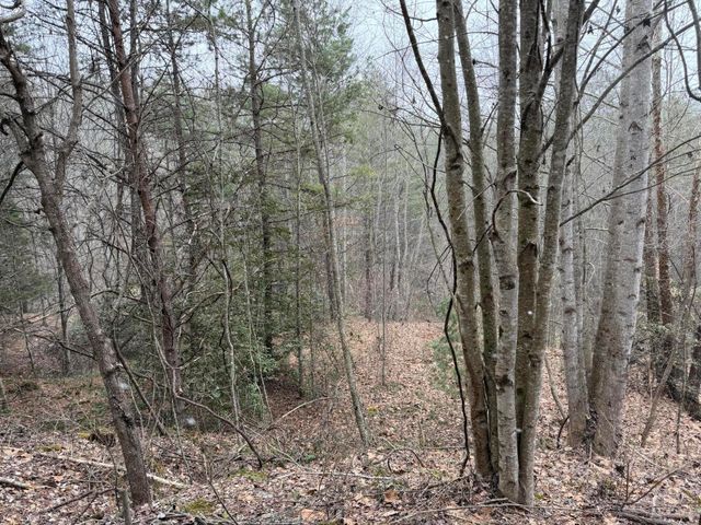 1090 West Adkins-Aurthor Rd, Somerset, KY 42501