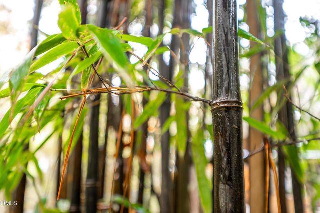 233 Bartlett Drive, Pittsboro, NC 27312