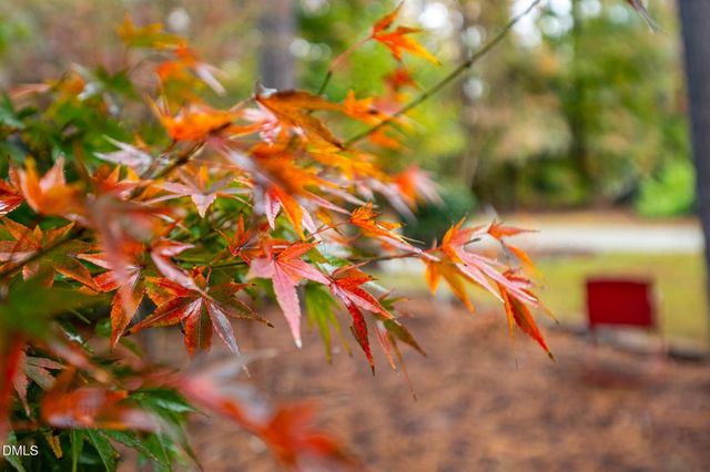 233 Bartlett Drive, Pittsboro, NC 27312