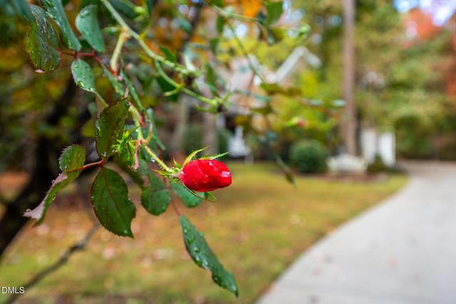 233 Bartlett Drive, Pittsboro, NC 27312