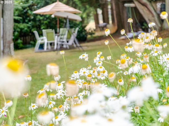 22161 LINDBERG Rd, Clatskanie, OR 97016