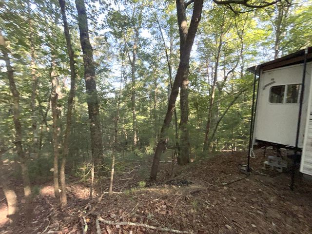 TR 13 Southern Pines Drive, Ellijay, GA 30540