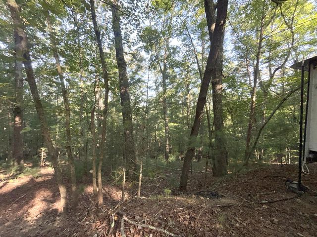 TR 13 Southern Pines Drive, Ellijay, GA 30540