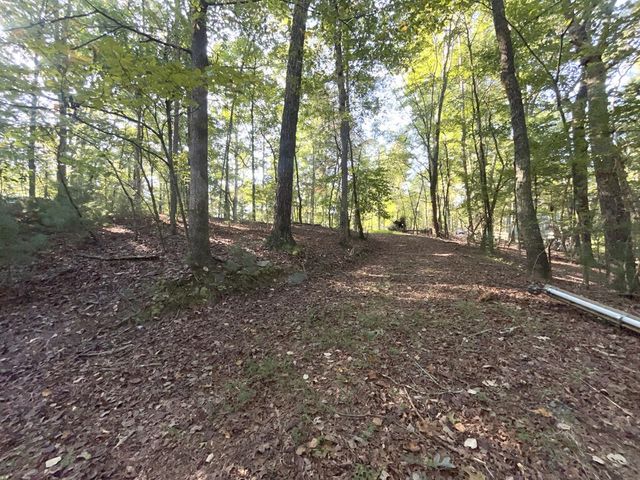TR 13 Southern Pines Drive, Ellijay, GA 30540