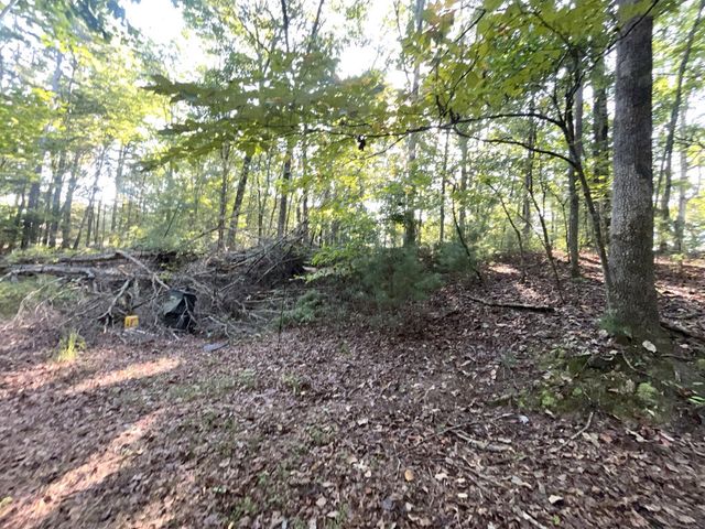 TR 13 Southern Pines Drive, Ellijay, GA 30540