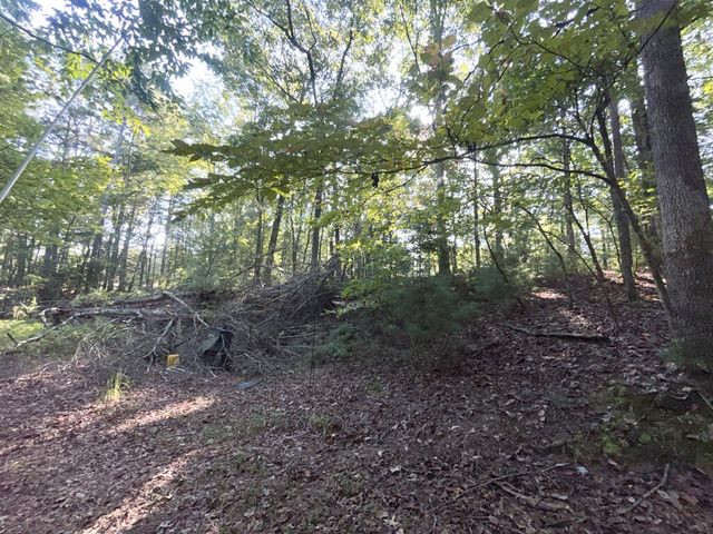 TR 13 Southern Pines Drive, Ellijay, GA 30540