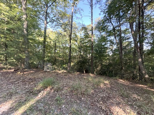 TR 13 Southern Pines Drive, Ellijay, GA 30540