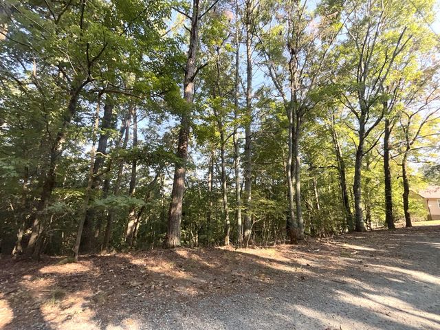 TR 13 Southern Pines Drive, Ellijay, GA 30540