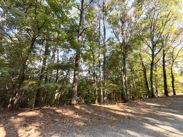 TR 13 Southern Pines Drive, Ellijay, GA 30540