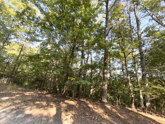 TR 13 Southern Pines Drive, Ellijay, GA 30540