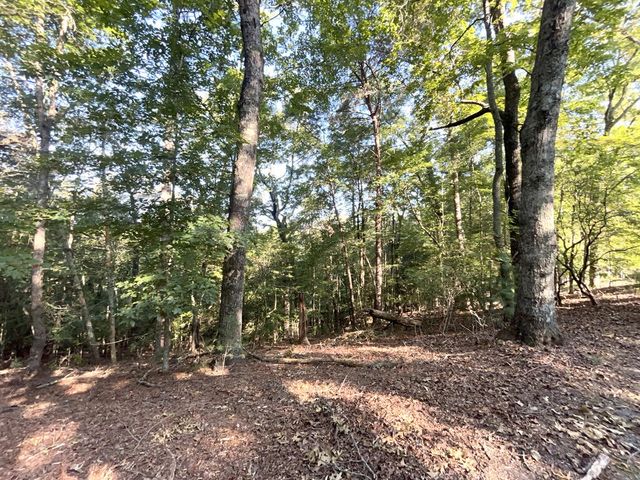 TR 13 Southern Pines Drive, Ellijay, GA 30540