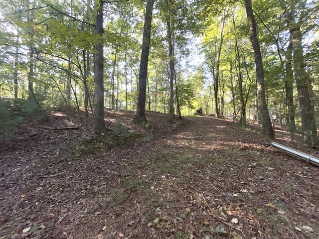 TR 13 Southern Pines Drive, Ellijay, GA 30540