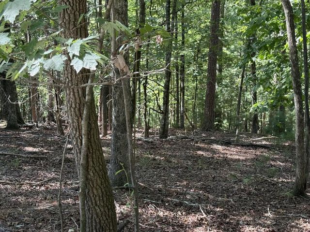 TR 13 Southern Pines Drive, Ellijay, GA 30540