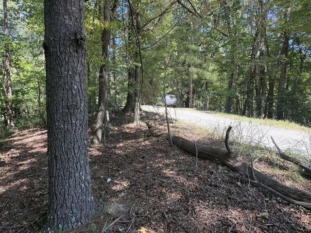 TR 13 Southern Pines Drive, Ellijay, GA 30540