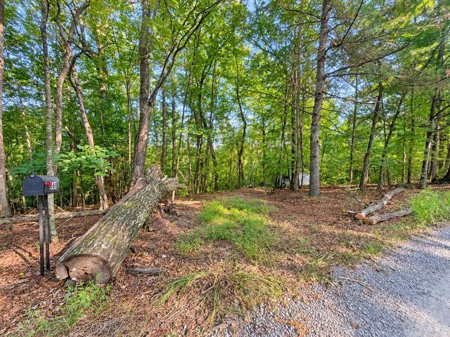 TR 13 Southern Pines Drive, Ellijay, GA 30540