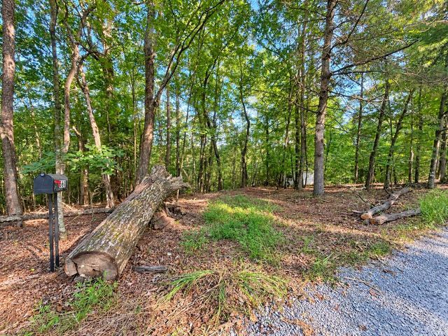 TR 13 Southern Pines Drive, Ellijay, GA 30540