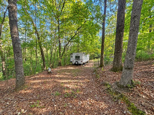 TR 13 Southern Pines Drive, Ellijay, GA 30540