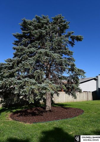 11673 Sunburst Avenue, Omaha, NE 68164