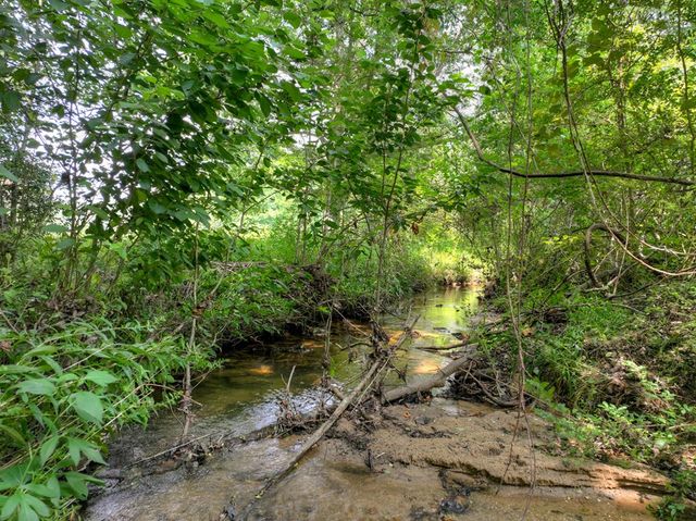 1779 Madola Road, Epworth, GA 30541