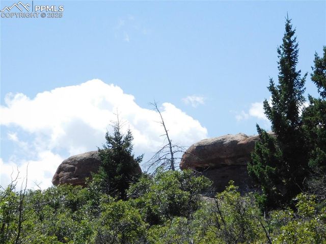 6382 Country Club Drive, Larkspur, CO 80118