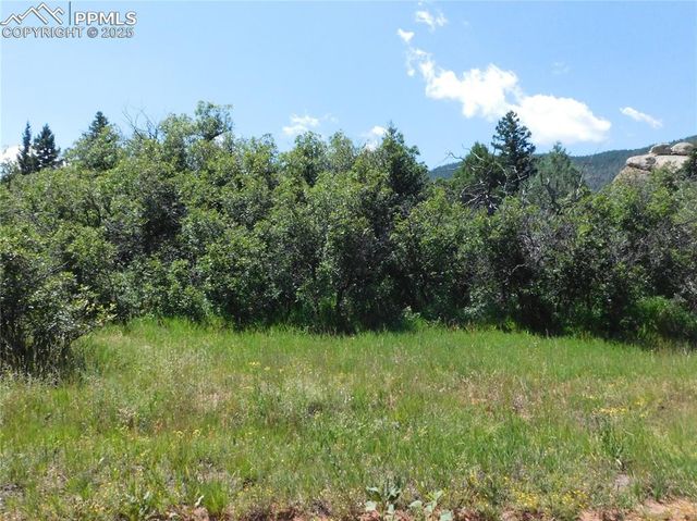 6382 Country Club Drive, Larkspur, CO 80118