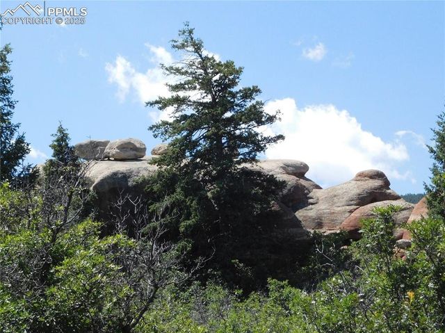 6382 Country Club Drive, Larkspur, CO 80118