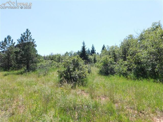 6382 Country Club Drive, Larkspur, CO 80118