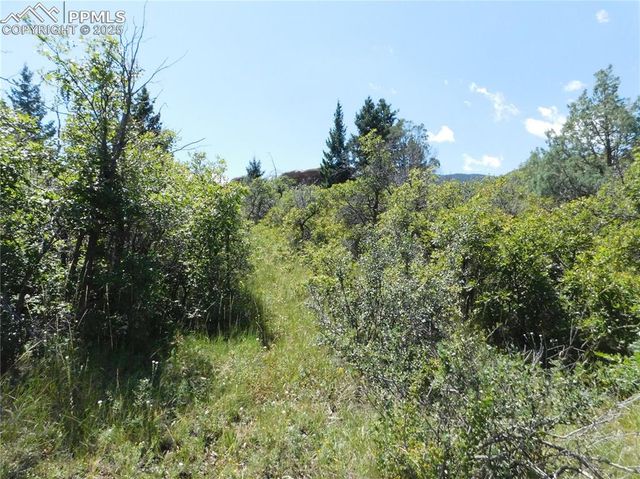 6382 Country Club Drive, Larkspur, CO 80118