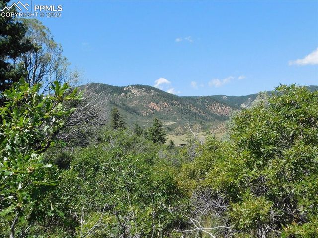 6382 Country Club Drive, Larkspur, CO 80118