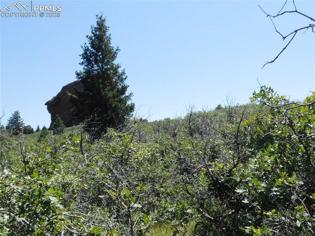 6382 Country Club Drive, Larkspur, CO 80118