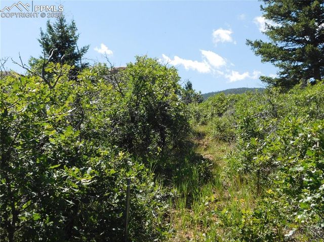 6382 Country Club Drive, Larkspur, CO 80118