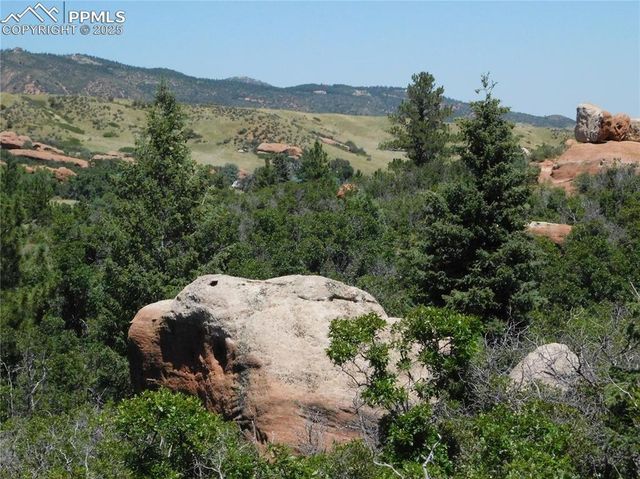 6382 Country Club Drive, Larkspur, CO 80118