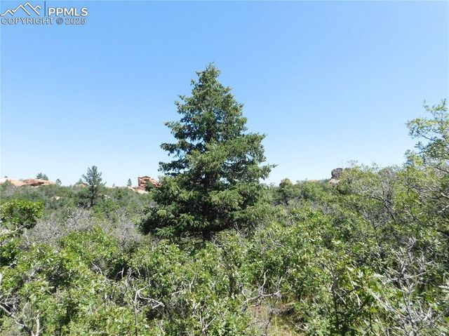 6382 Country Club Drive, Larkspur, CO 80118