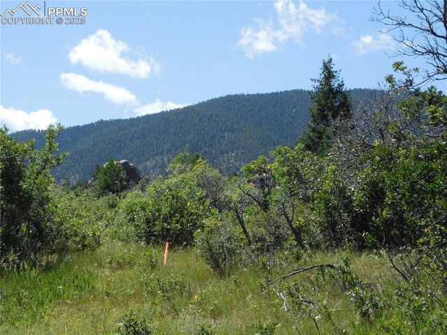 6382 Country Club Drive, Larkspur, CO 80118