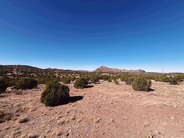 407 Texas Oak, Alpine, TX 79830