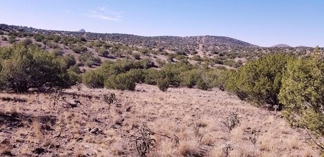 407 Texas Oak, Alpine, TX 79830