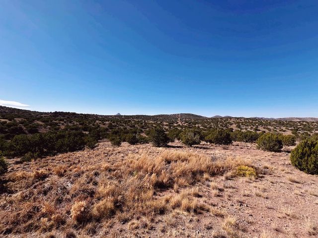 407 Texas Oak, Alpine, TX 79830