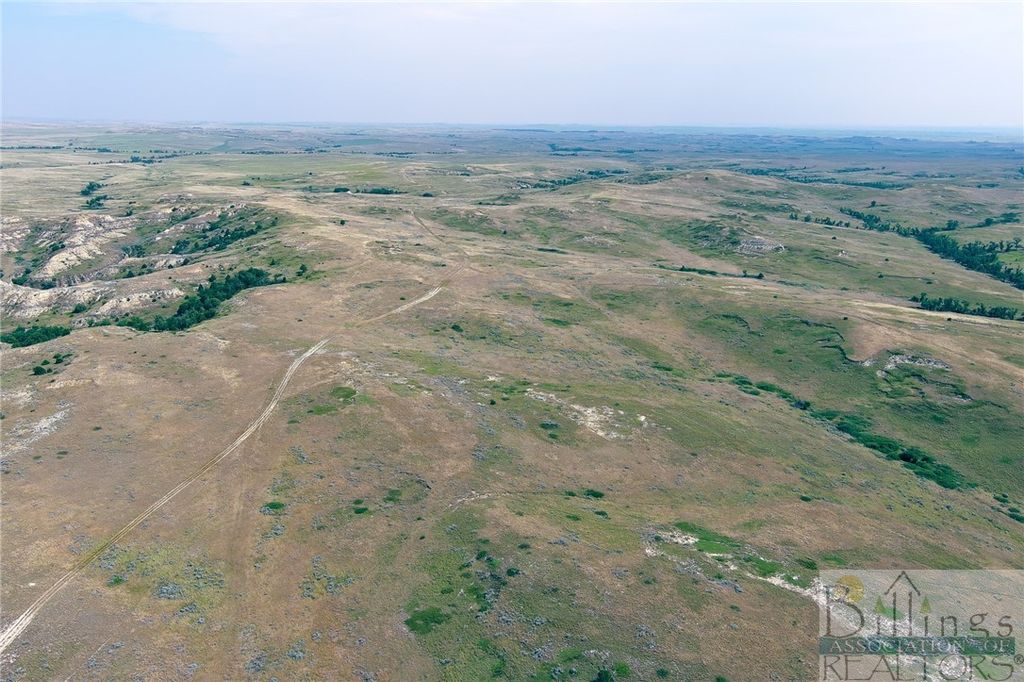"5736 +/- Acres" NHN Straub Access Rd Plevna, MT ROAD, Other, MT 59344 photo 10