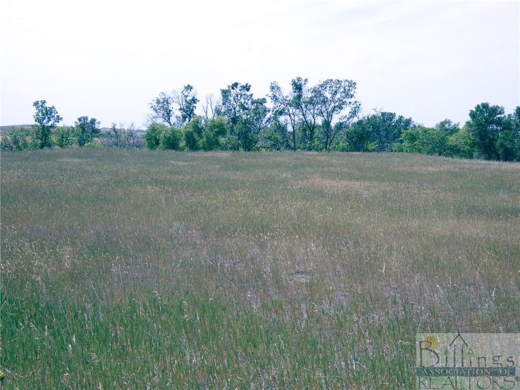 "5736 +/- Acres" NHN Straub Access Rd Plevna, MT ROAD, Other, MT 59344 photo 11
