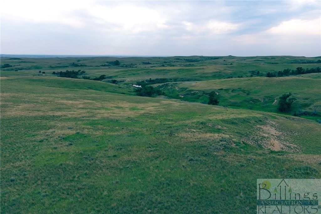 "5736 +/- Acres" NHN Straub Access Rd Plevna, MT ROAD, Other, MT 59344 photo 12