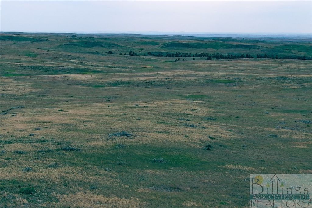 "5736 +/- Acres" NHN Straub Access Rd Plevna, MT ROAD, Other, MT 59344 photo 15