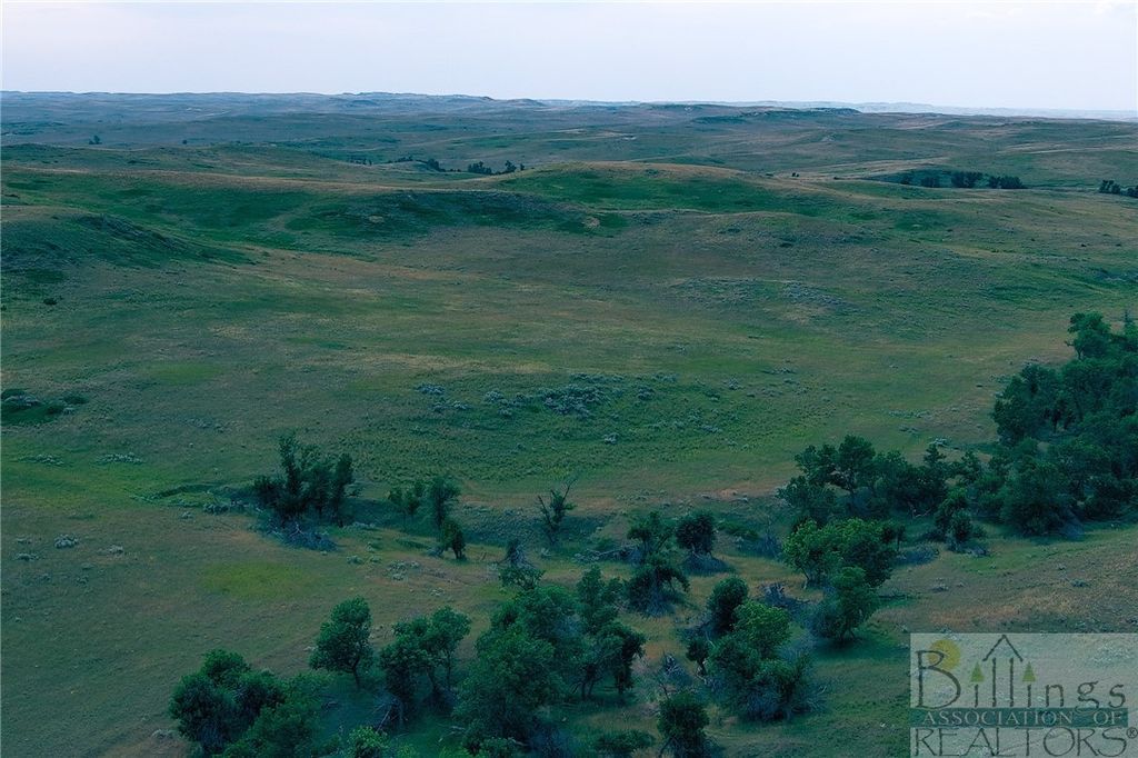 "5736 +/- Acres" NHN Straub Access Rd Plevna, MT ROAD, Other, MT 59344 photo 16