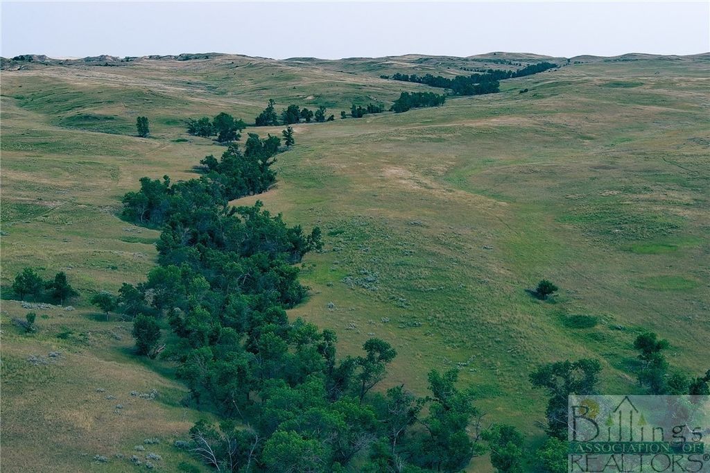 "5736 +/- Acres" NHN Straub Access Rd Plevna, MT ROAD, Other, MT 59344 photo 20