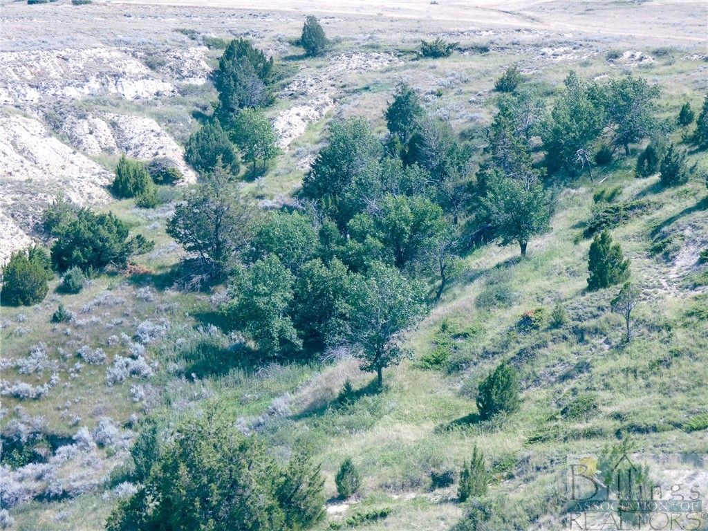 "5736 +/- Acres" NHN Straub Access Rd Plevna, MT ROAD, Other, MT 59344 photo 21