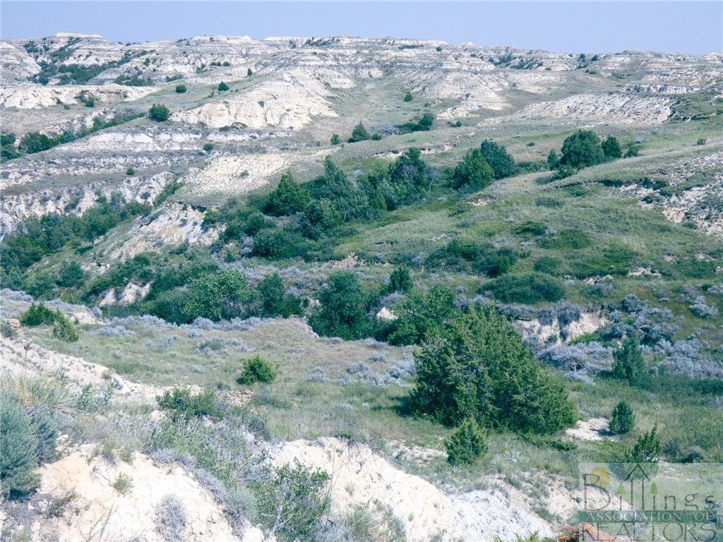 "5736 +/- Acres" NHN Straub Access Rd Plevna, MT ROAD, Other, MT 59344 photo 22